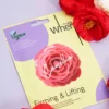 Simply When® Camellia veganiška stangrinanti veido kaukė ()