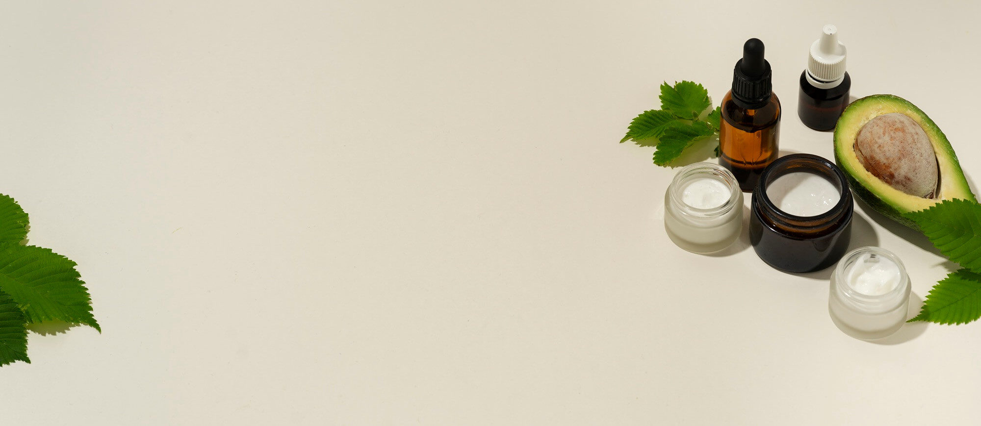 high angle beauty products with copy space avocado high angle beauty products with copy space avocado