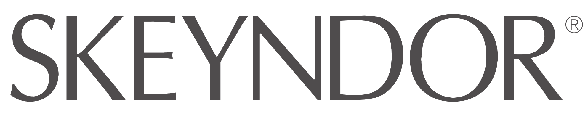 Skeyndor logo